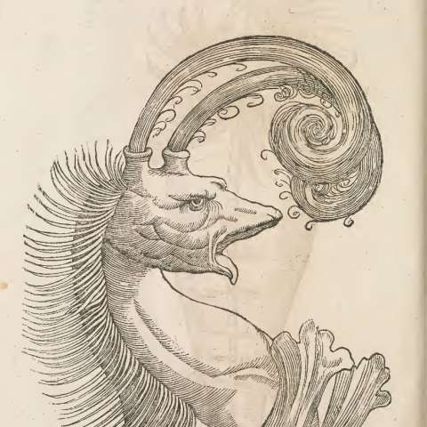 怪物誌の画像[16]サムネイル