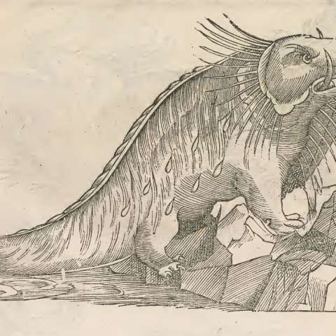 怪物誌の画像[17]サムネイル