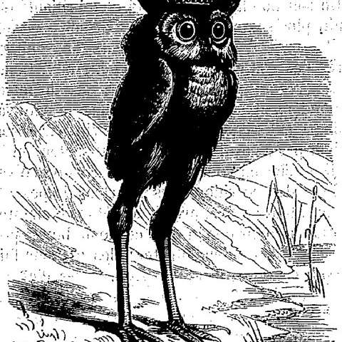 ストラスの画像[1]サムネイル