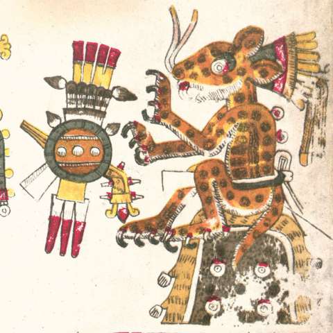 テペヨロートリの画像[3]サムネイル