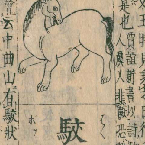 駮の画像[3]サムネイル