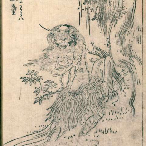 山童の画像[4]サムネイル